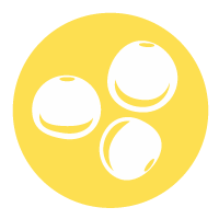 Altramuces