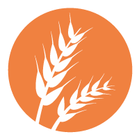 Gluten