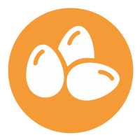 Huevos