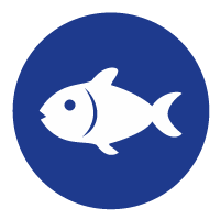 Pescado